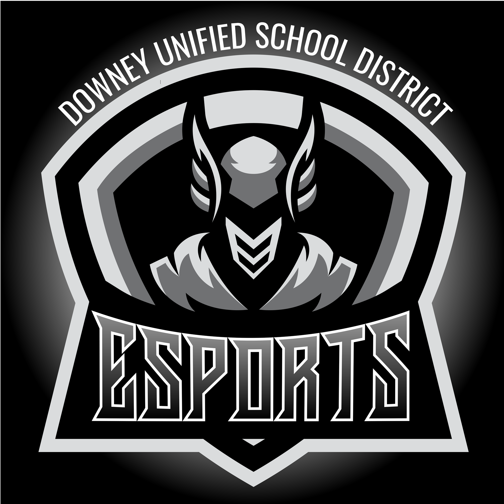 High School E-Sports