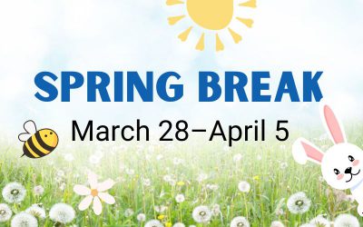 Spring Break Ideas for Students