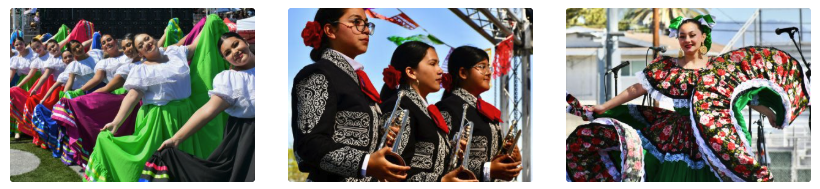 highlights of dancers in costume from last year's festival