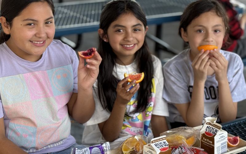 students eating lunch
