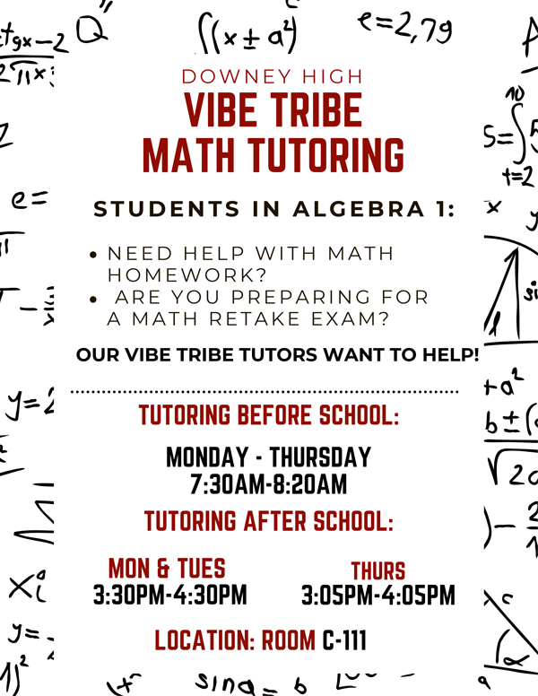Vike Tribe Math Tutoring