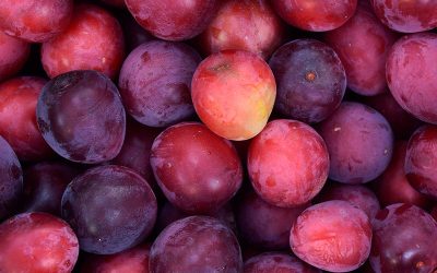 Old Grove Orange Brings the Taste of Fall to Our Campuses