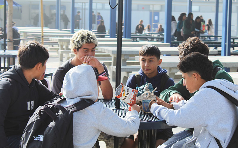 Boys at a table at lunch together
