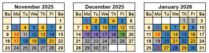 Nov, Dec, Jan blue and gold calendar