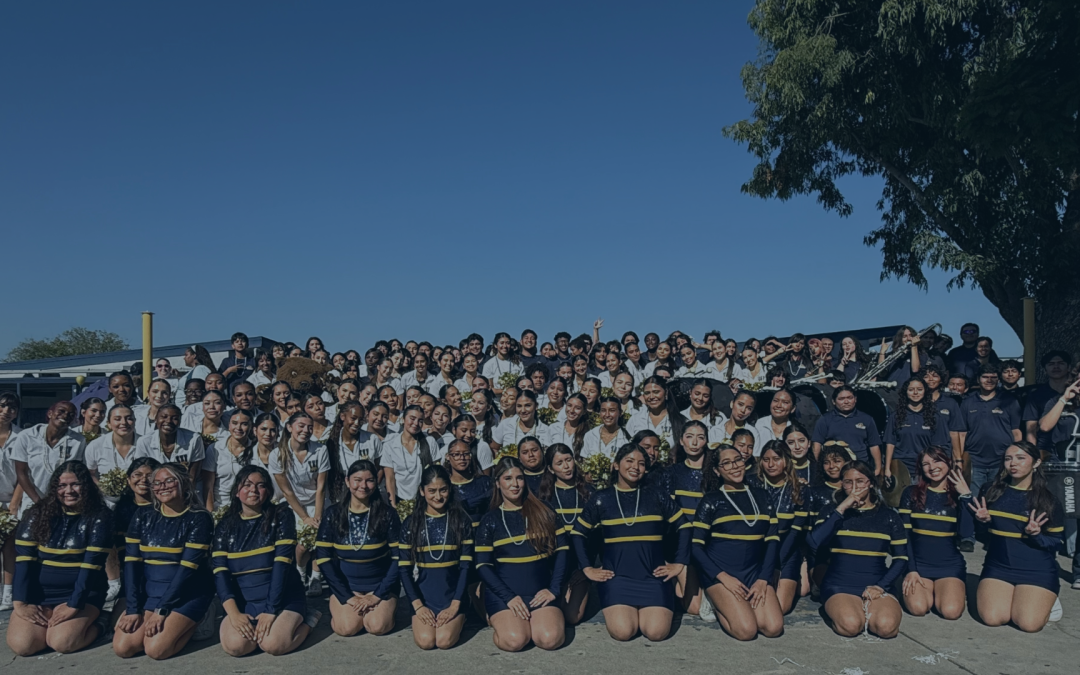 Future Bears. Current Families. One BIG Warren, CA Showcase!