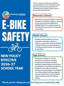 Representation of E bike safety flyer for download